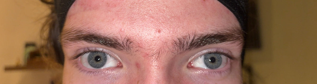 Before photo of eyebrows, natural , bushy before reshape 